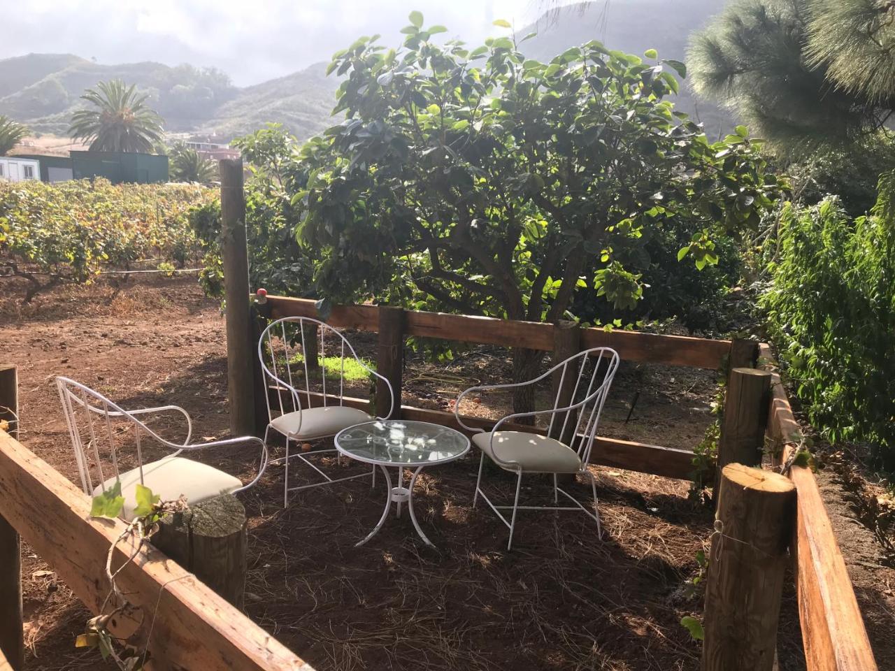 Finca El Vergel Rural Tegueste Exterior foto