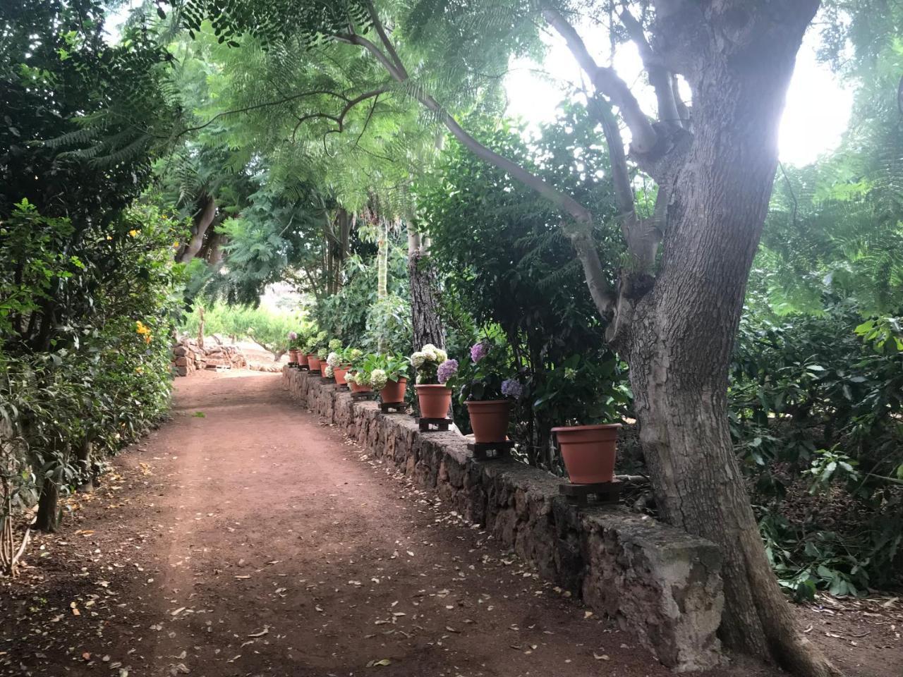 Finca El Vergel Rural Tegueste Exterior foto